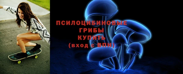 дмт Арсеньев