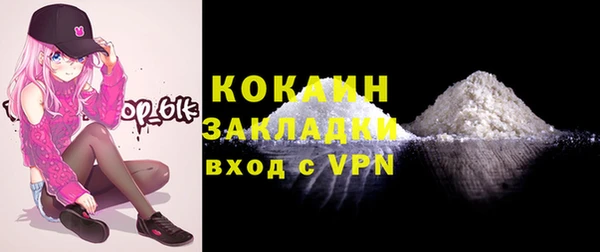индика Рославль