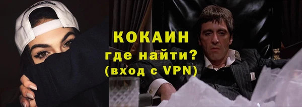 индика Рославль