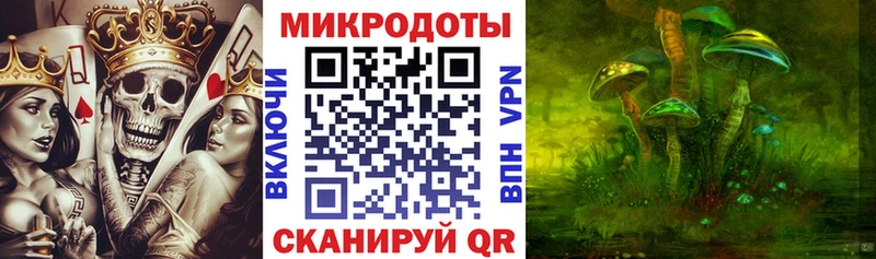 Псилоцибиновые грибы мухоморы  где можно купить наркотик  Покров 